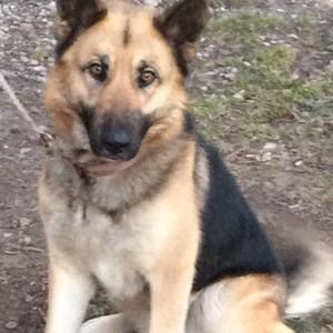 Meet your Posher, Roberto